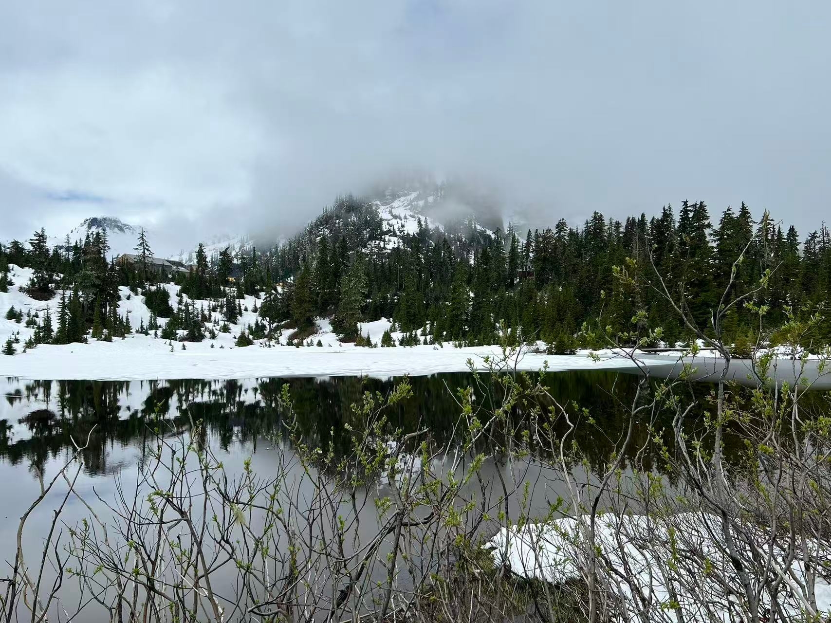 Paradise on Earth! Encountering the Avatar-like world at Baker Mountain