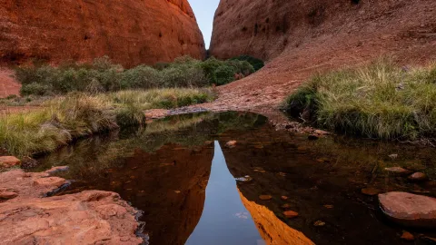 Nature's Miracle! The Secrets of Uluru and Kata Tjuta — traveler post in Petermann
