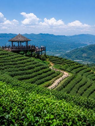 Pu’er 3-day 2-night ultimate guide | Everything you want is right here!