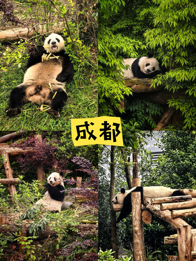 9月懶人親子出遊4大寶藏目的地,輕鬆溜娃不費媽|Trip.com 成都