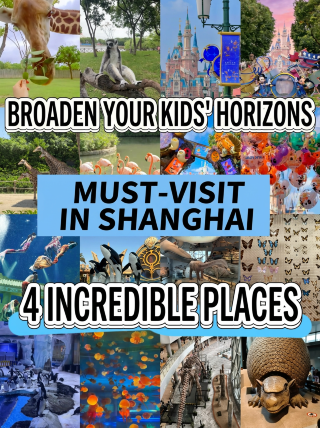 Taking Kids to Shanghai | 4 Niche, Can't-Miss Highlights