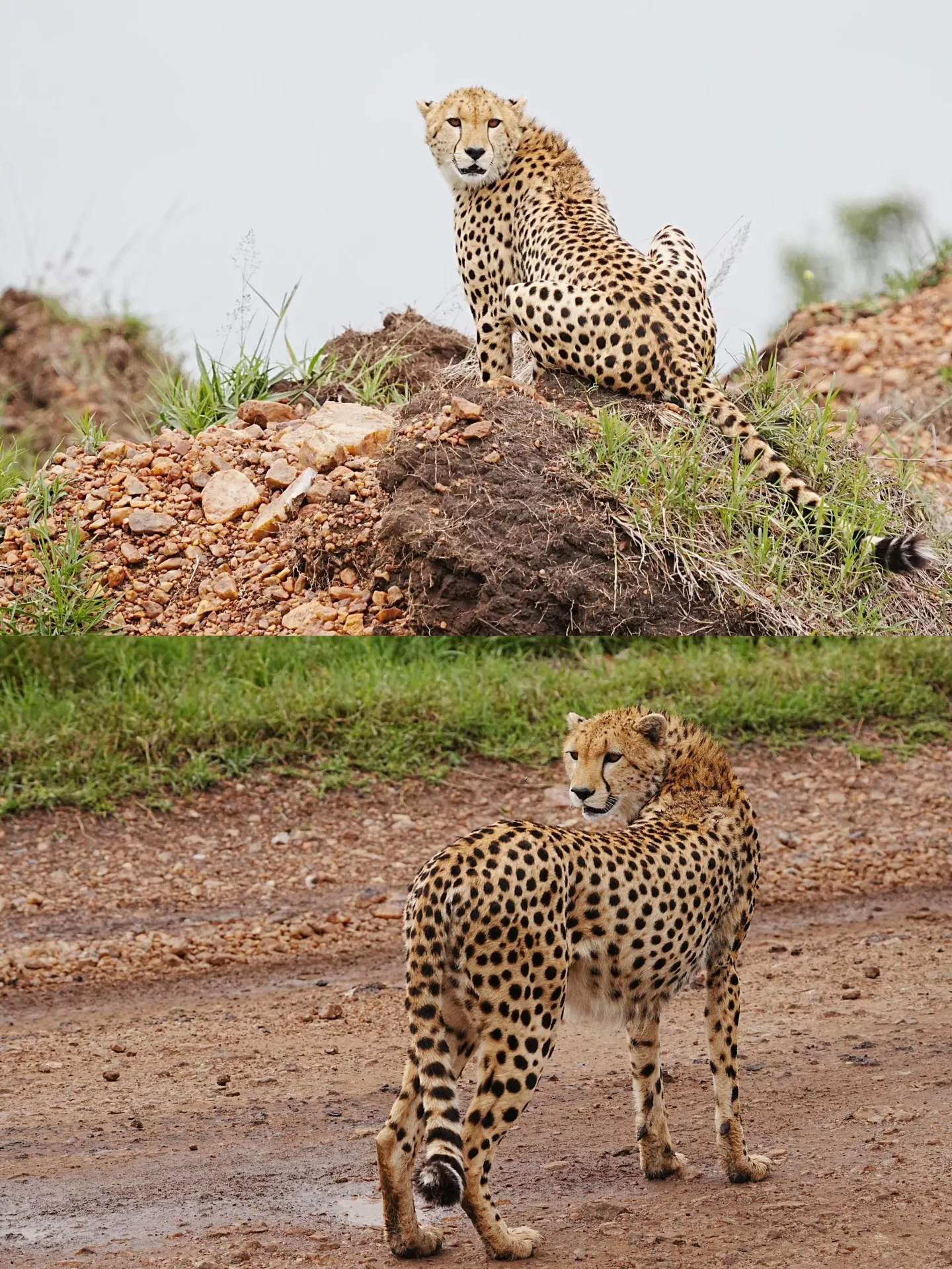 7-day Tanzania itinerary: just follow this guide