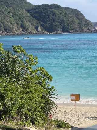 中秋の日本4日間旅行ガイド
