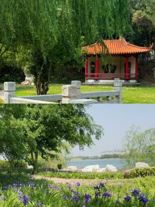 Back from Puyang, let me be blunt.