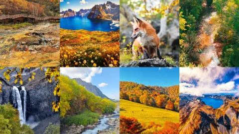 Autumn in Changbai Mountain | A rendezvous with the colorful forests of Heavenly Lake — traveler post in Yanji