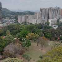 元朗公園悠閒好去處