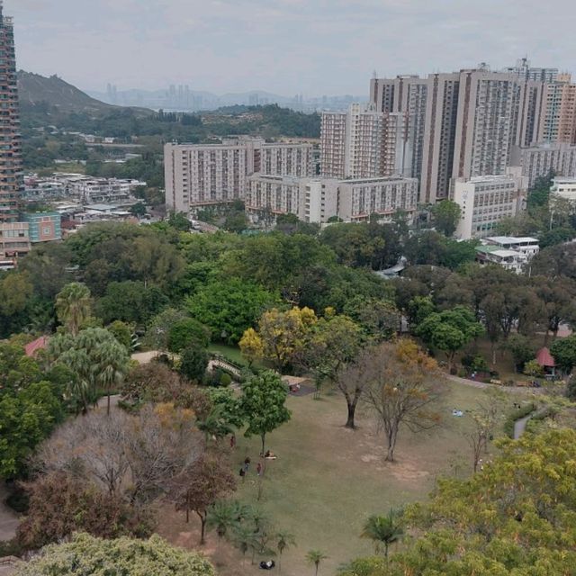 元朗公園悠閒好去處