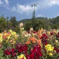 Doi Angkhang(ดอยอ่างขาง) เชียงใหม่