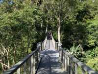 Immerse In this Beautiful Nature in Penang