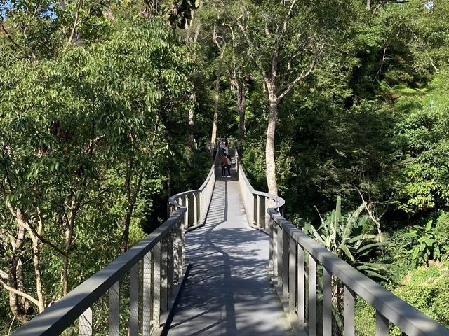 Immerse In this Beautiful Nature in Penang