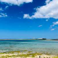 Paradise Next Door at Senaga Island Okinawa