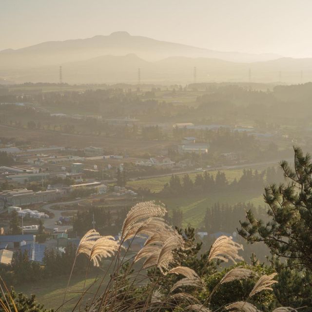 스위스 안 부러운 제주일몰명소, 금오름 ✨