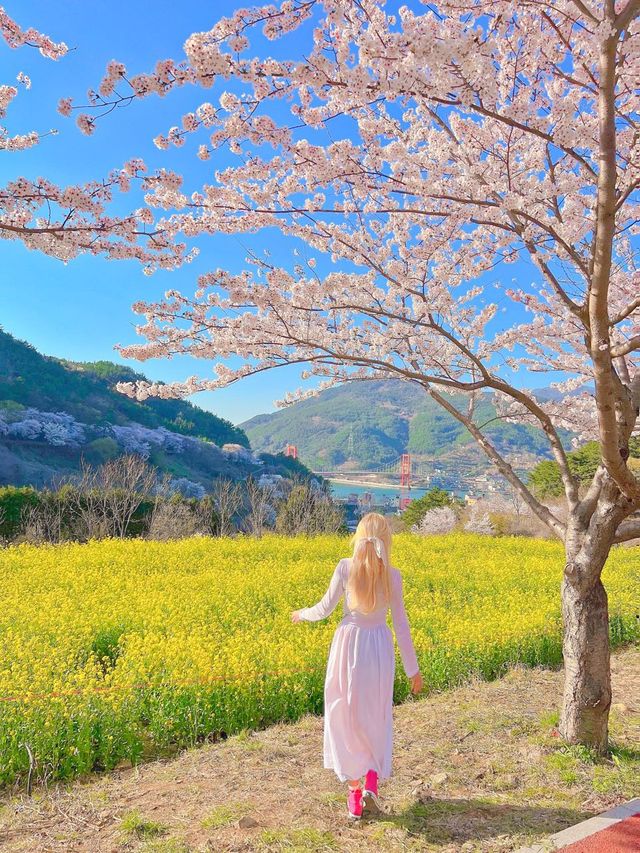 남해 벚꽃명소 4