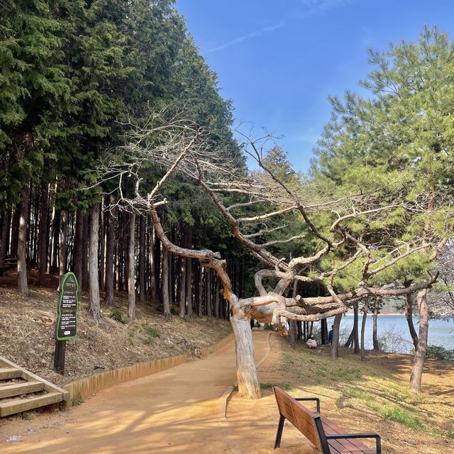 부산의 숨은 힐링장소 회동수원지 둘레길 황토숲길🌱🌸