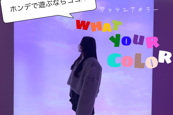 韓国 what your color🎨🖌 | Trip.com ソウル