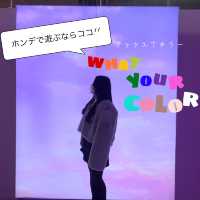韓国　what your color🎨🖌