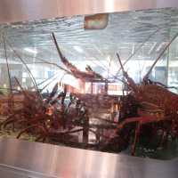 西澳🇦🇺龍蝦工廠Lobster Shack