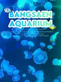 อควาเรียม บางแสน เดินเที่ยวโลกใต้น้ำ 🐠