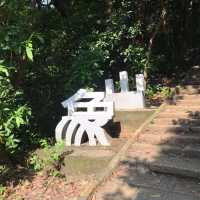 解鎖🔓象山步道‼️台北健行徑🦾遠望台北101🫶🏻