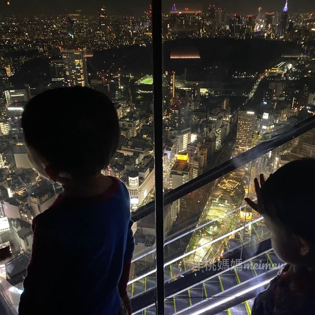 俯瞰整個東京夜景🌃