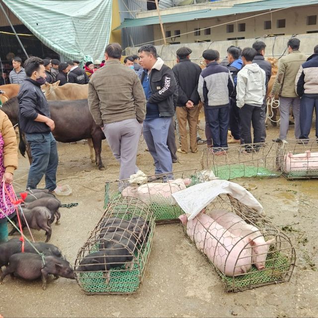 Market in Ha Giang are lively n noisy