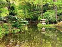 สวนสาธารณะกิฟุ (Gifu Park)🌳🌿