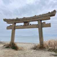 香川県/直島🛳水玉の女王