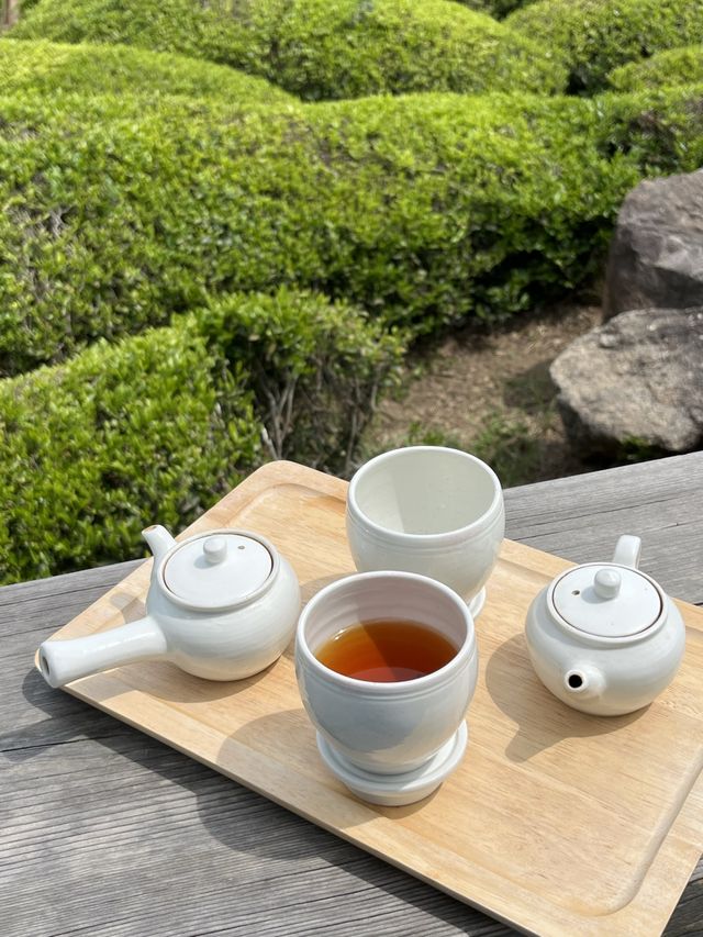 푸릇파릇한 하동 녹차 맛집🍵