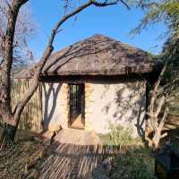 A Safari Staycation At Pilanesburg Safari