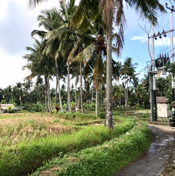 Hidden Place of Paradise in Ubud