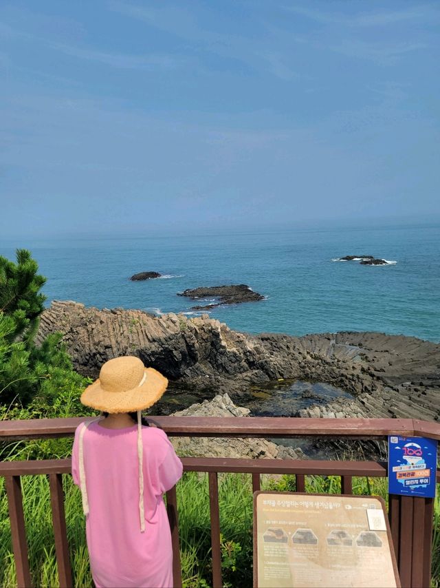 아름다운 바다위 그림같은 경주 양남 주상절리🪨🌊