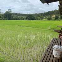 สดชื่นแจ่มใส-coffee slow bar