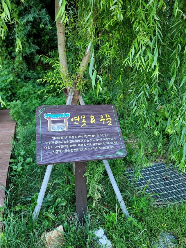 달빛갤러리와 일제강점기 우물이 있는 거제 소망의길✨️