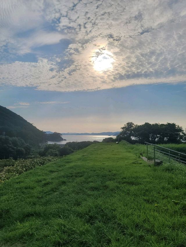 내년 수국시즌이 기대되는 가덕도 야생화단지💚