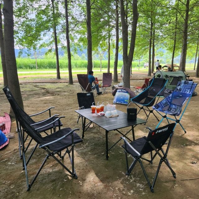 양산방문 피크닉 괜찮았습니다.