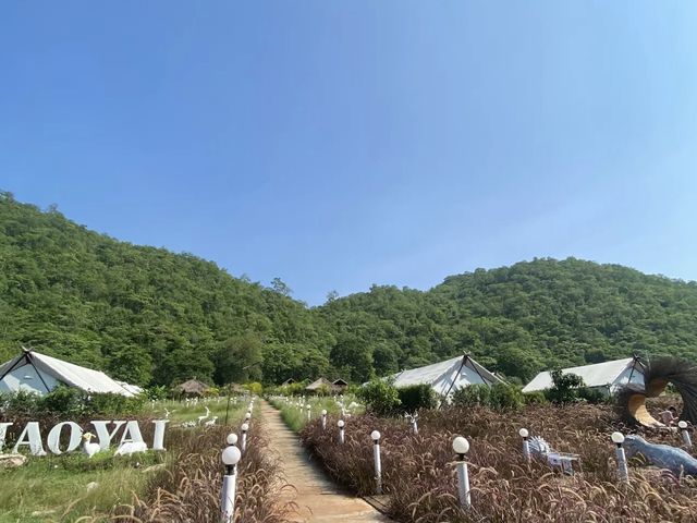 Mont Blanc Glamping ที่พักเขาใหญ่สไตส์แคมป์ปิ้ง 🏕