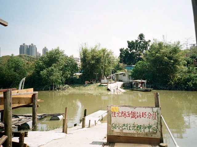 南生圍一日遊