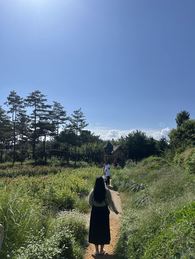 감자에 진심인 춘천 대표 카페 감자밭에서 냠냠🥔