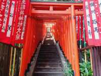 The magnificient shrine at Tokyo Central, Hie Shrine