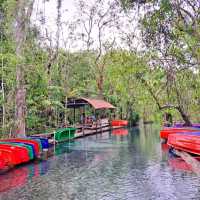 ป่าต้นน้ำ บ้านน้ำราด จังหวัดสุราษฎร์ธานี