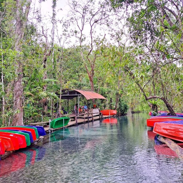 ป่าต้นน้ำ บ้านน้ำราด จังหวัดสุราษฎร์ธานี
