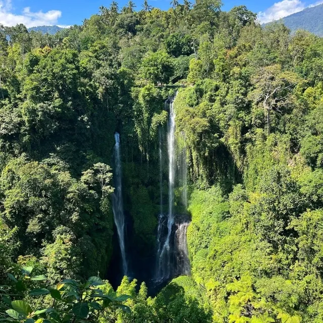 Waterfall in Bali 