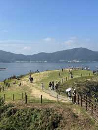 그림같은 풍경을 볼 수 있는 바람의 언덕💨🏝️