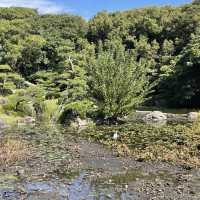 【大阪府】旧住友家の本宅庭園「慶沢園」