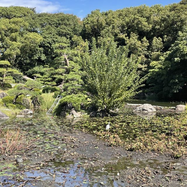 【大阪府】旧住友家の本宅庭園「慶沢園」