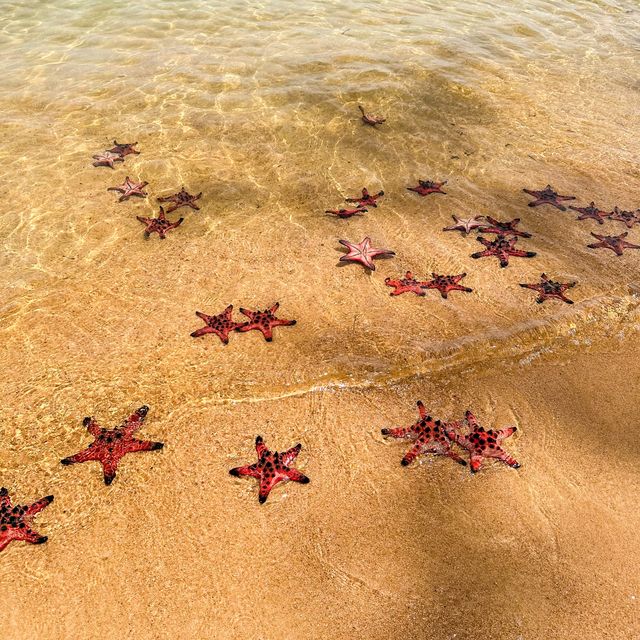 หาดปลาดาว Starfish Beach เกาะฟู้โกว๊ก