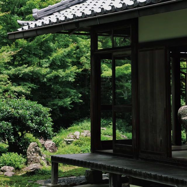 源光庵～美麗靜謐庭園🌸🏯