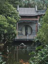 🌸🏞️💦 東莞人民公園～蓮花亭小橋流水🌸🏞️💦