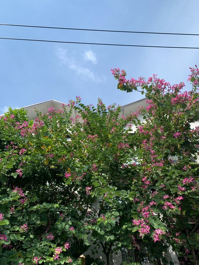 ย้อนเวลาไปพักโรงแรมสุดน่ารักที่เชียงใหม่