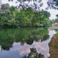 ภารกิจ ล่องเรือ ให้อาหารลิงที่ แก่งกระจาน